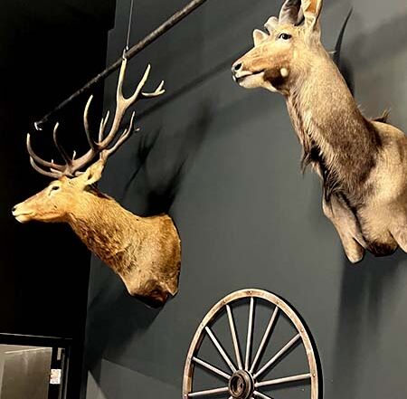 Montana Nights interior with mounted deer displays and wooden wagon wheel decor