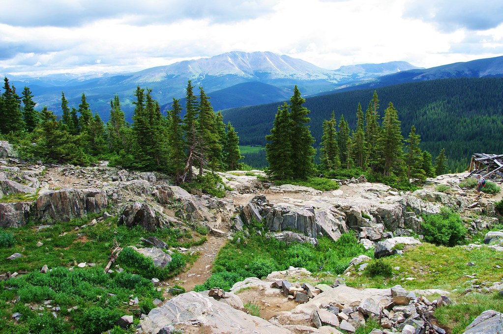 Panoramas of rocky mountain trails framed by evergreen pine trees under a cloudy sky